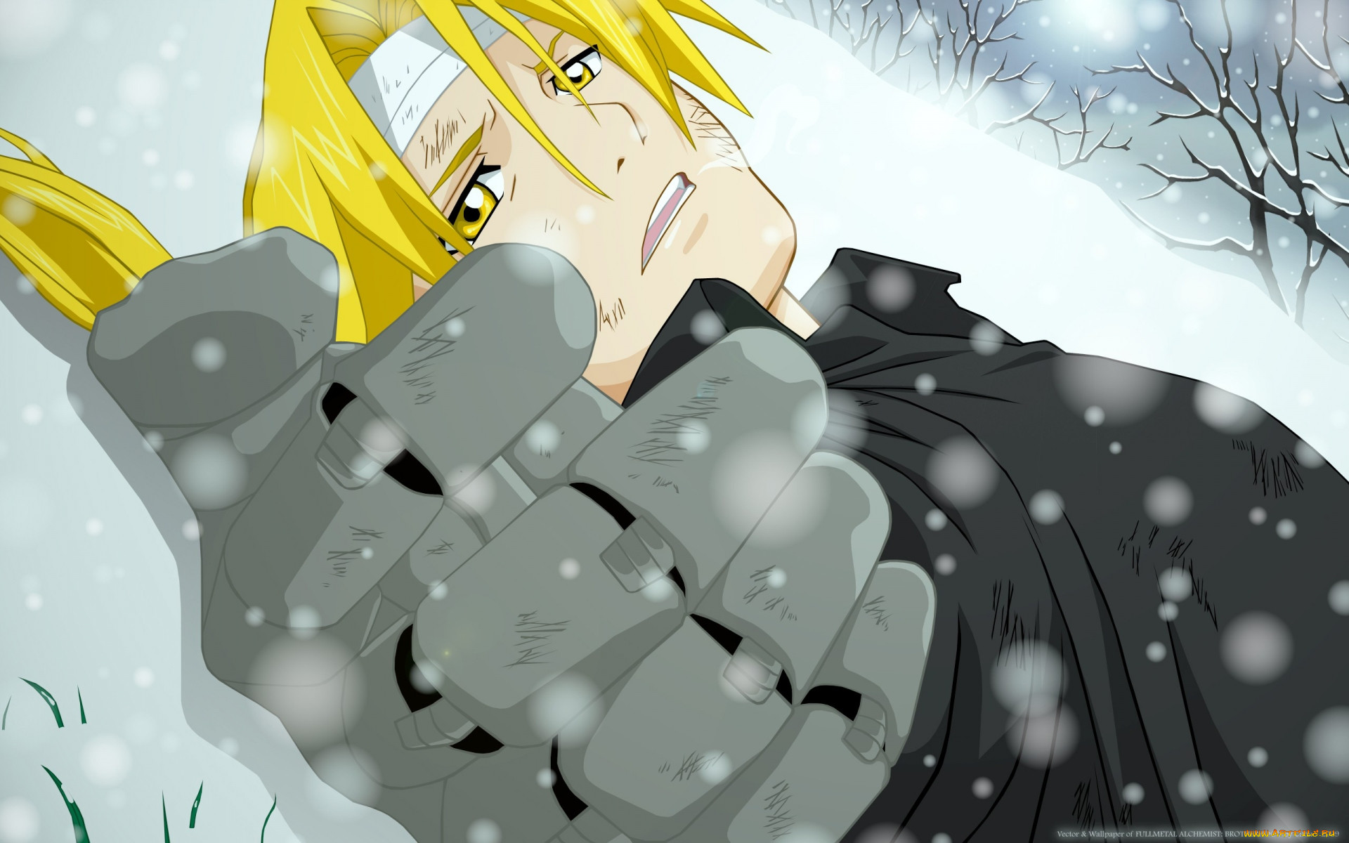 , fullmetal, alchemist